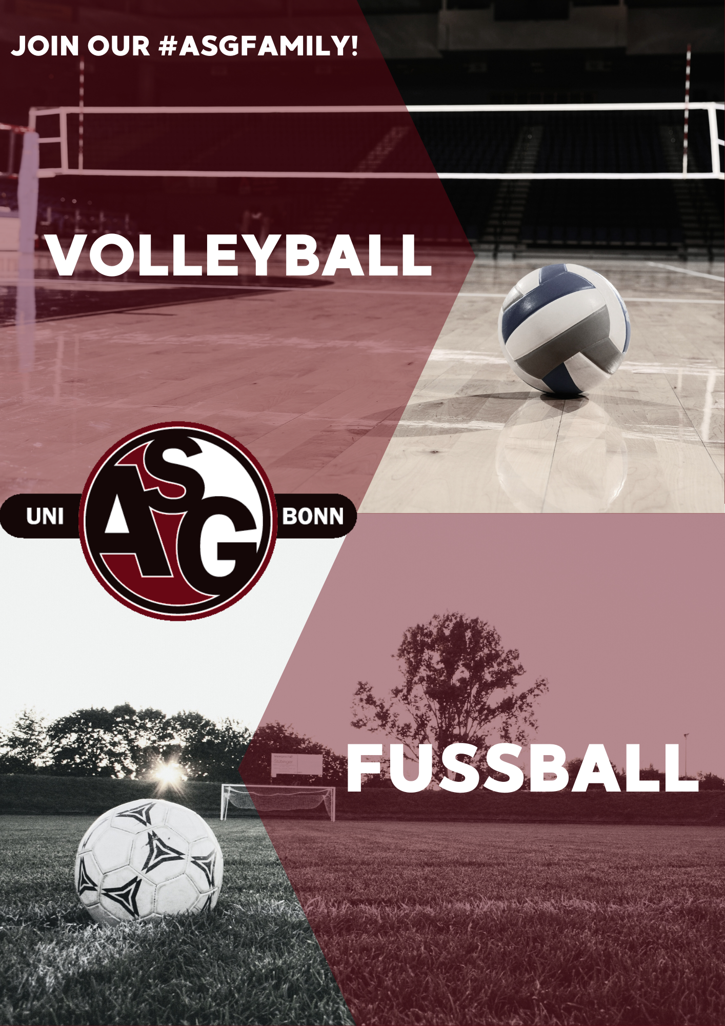 ASG_VB_FB_1