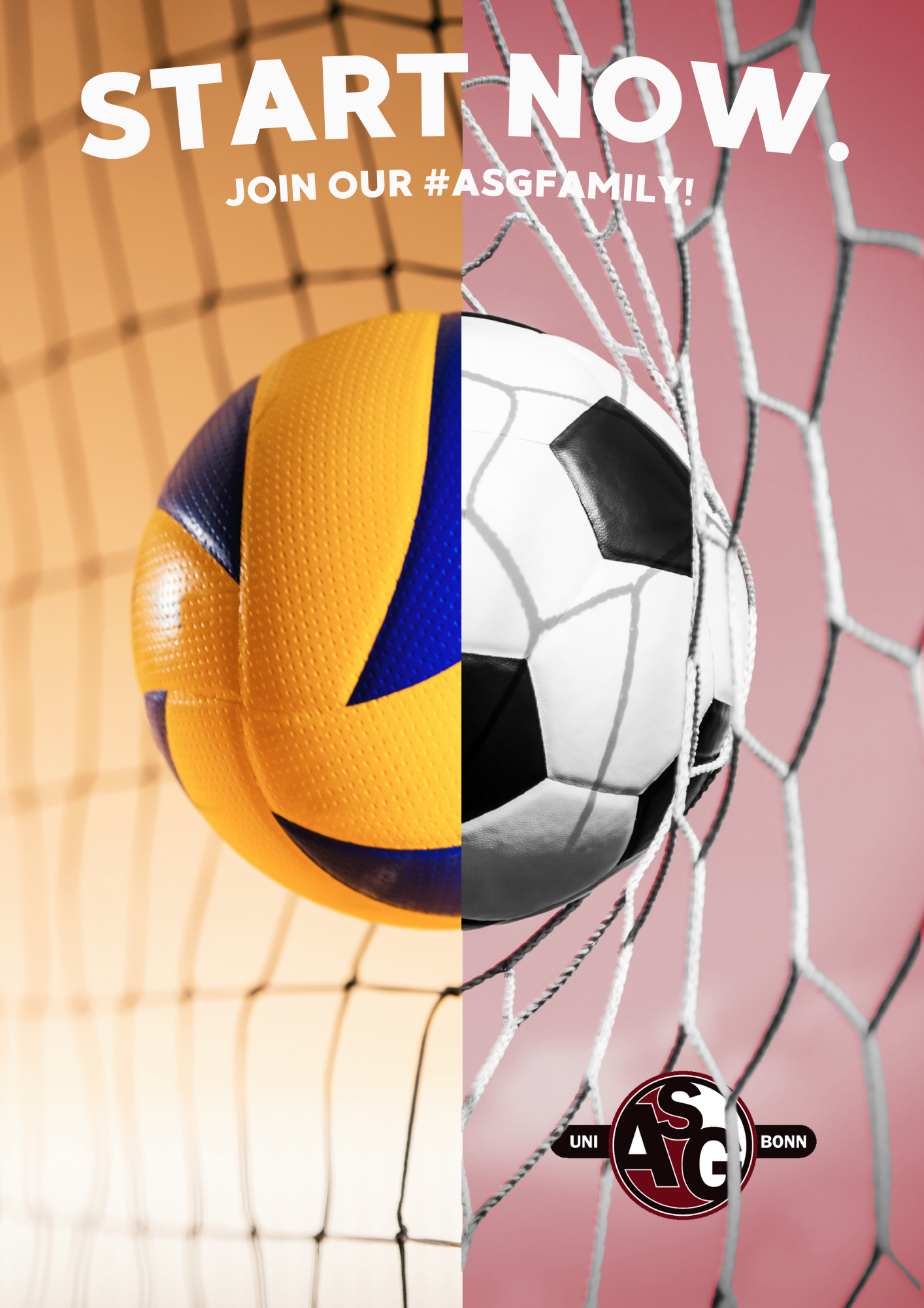 ASG_VB_FB_2